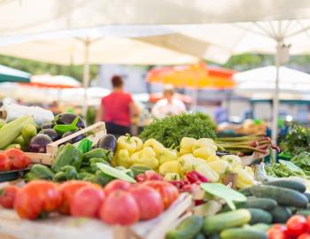 Browse the Charleston farmers market