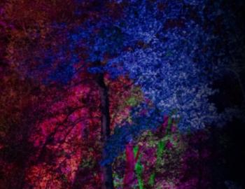 Garden Lights at Middleton Place Garden Lights at Middleton Place