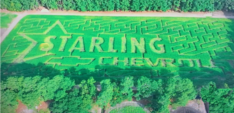 Boone Hall Pumpkin Patch
