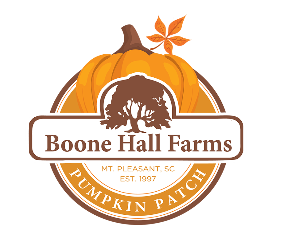 Boone Hall’s Beloved Pumpkin Patch