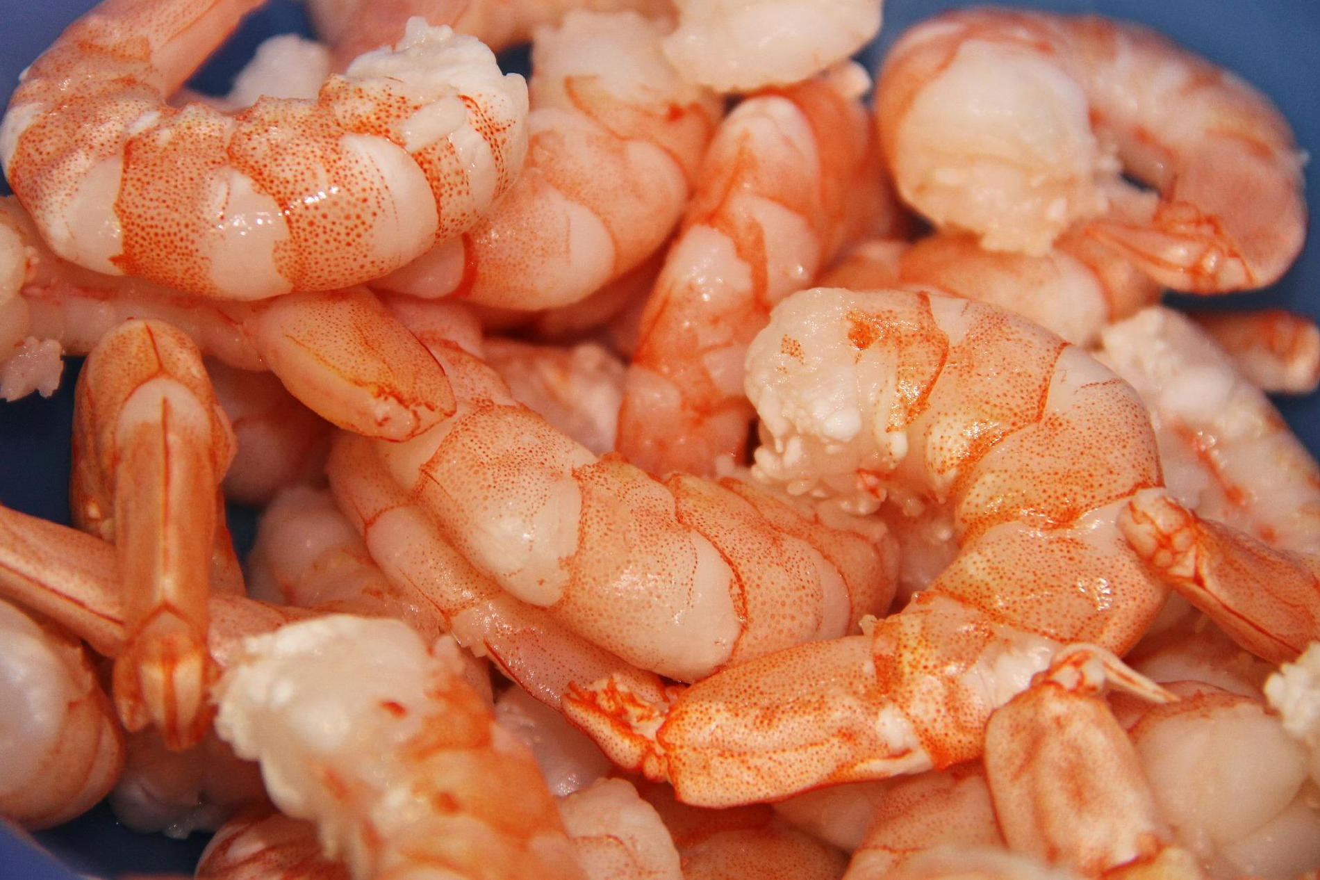 boiled shrimp