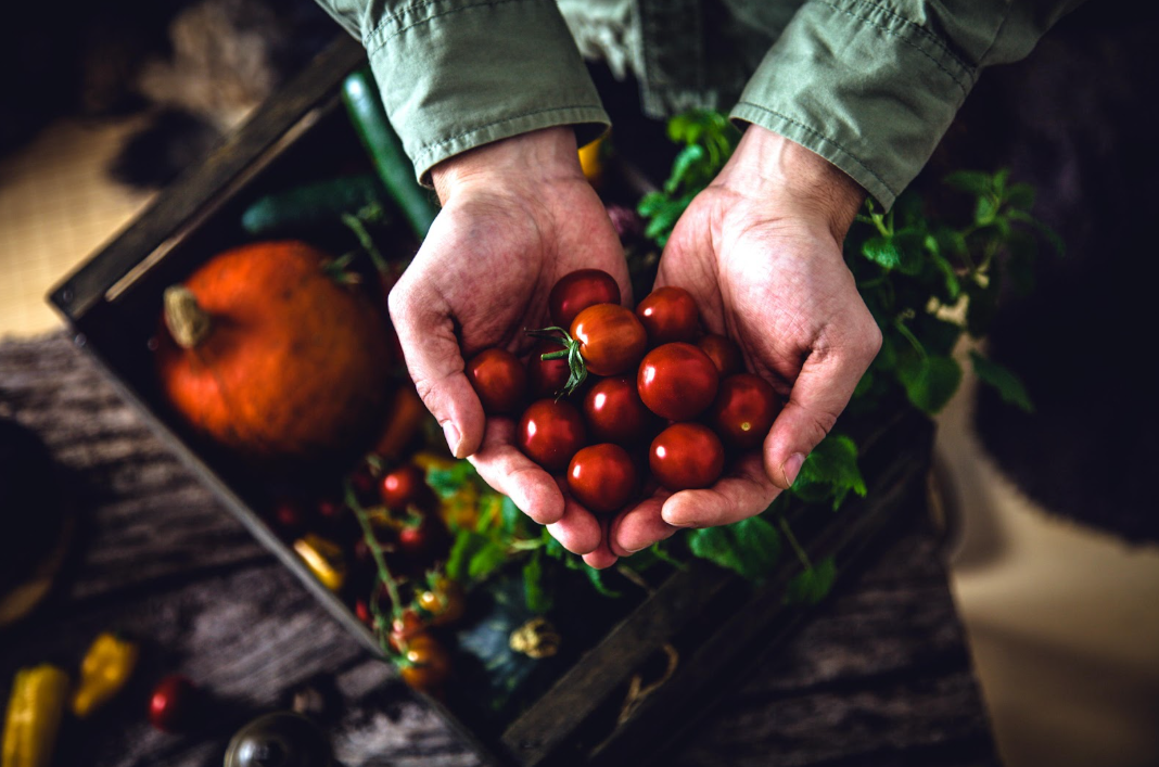 Willie’s Roadside Stand