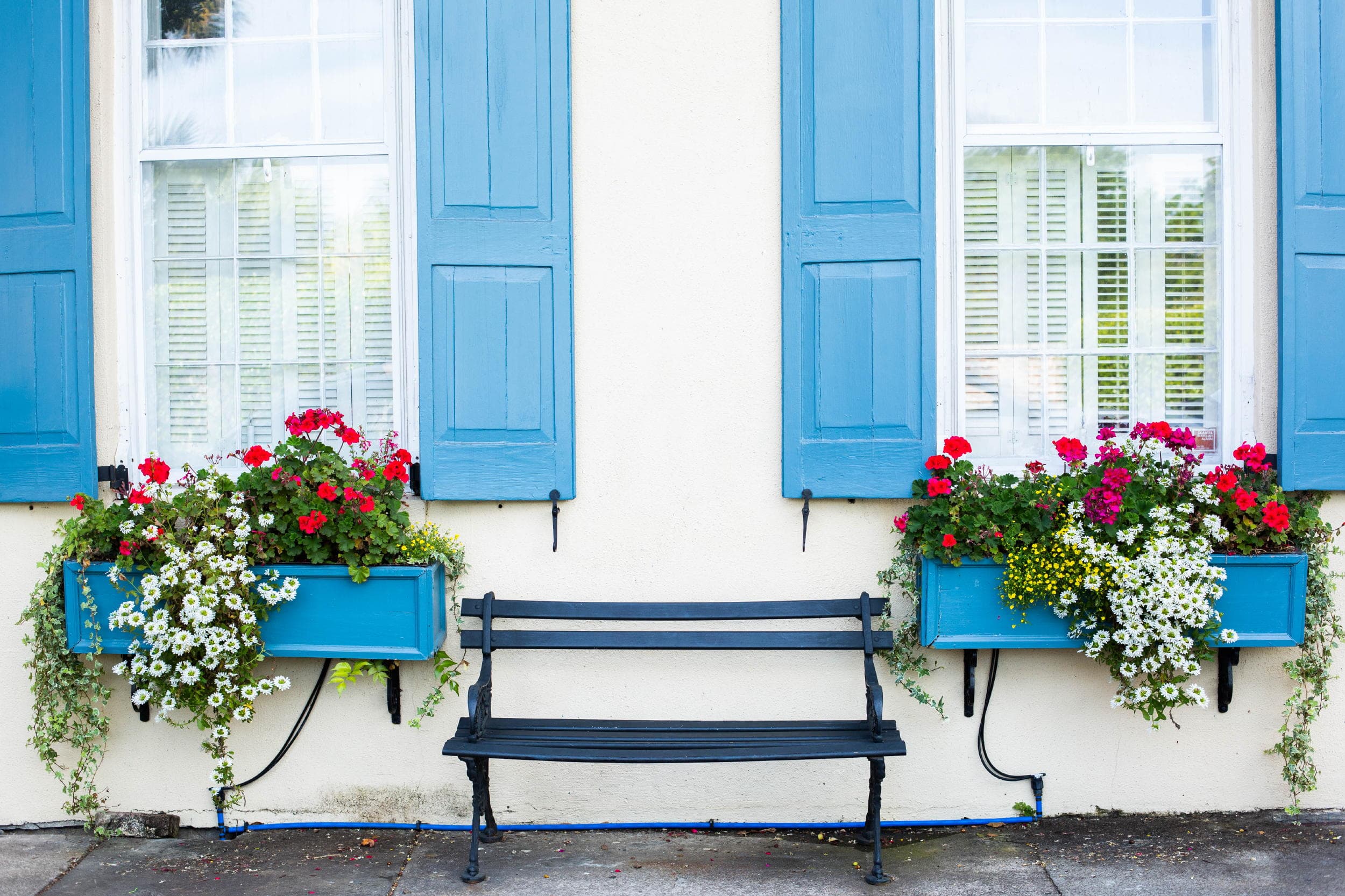 window boxes